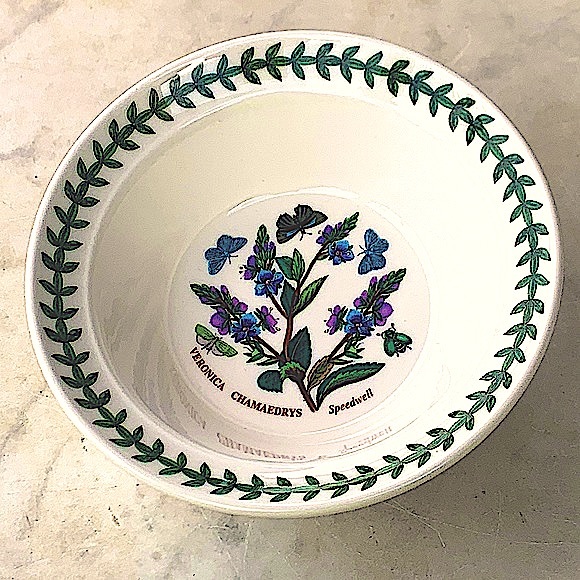 BOTANIC GARDEN BY PORTMEIRION SPEEDWELL OATMEAL CEREAL BOWL NEW ENGLAND - Picture 5 of 7